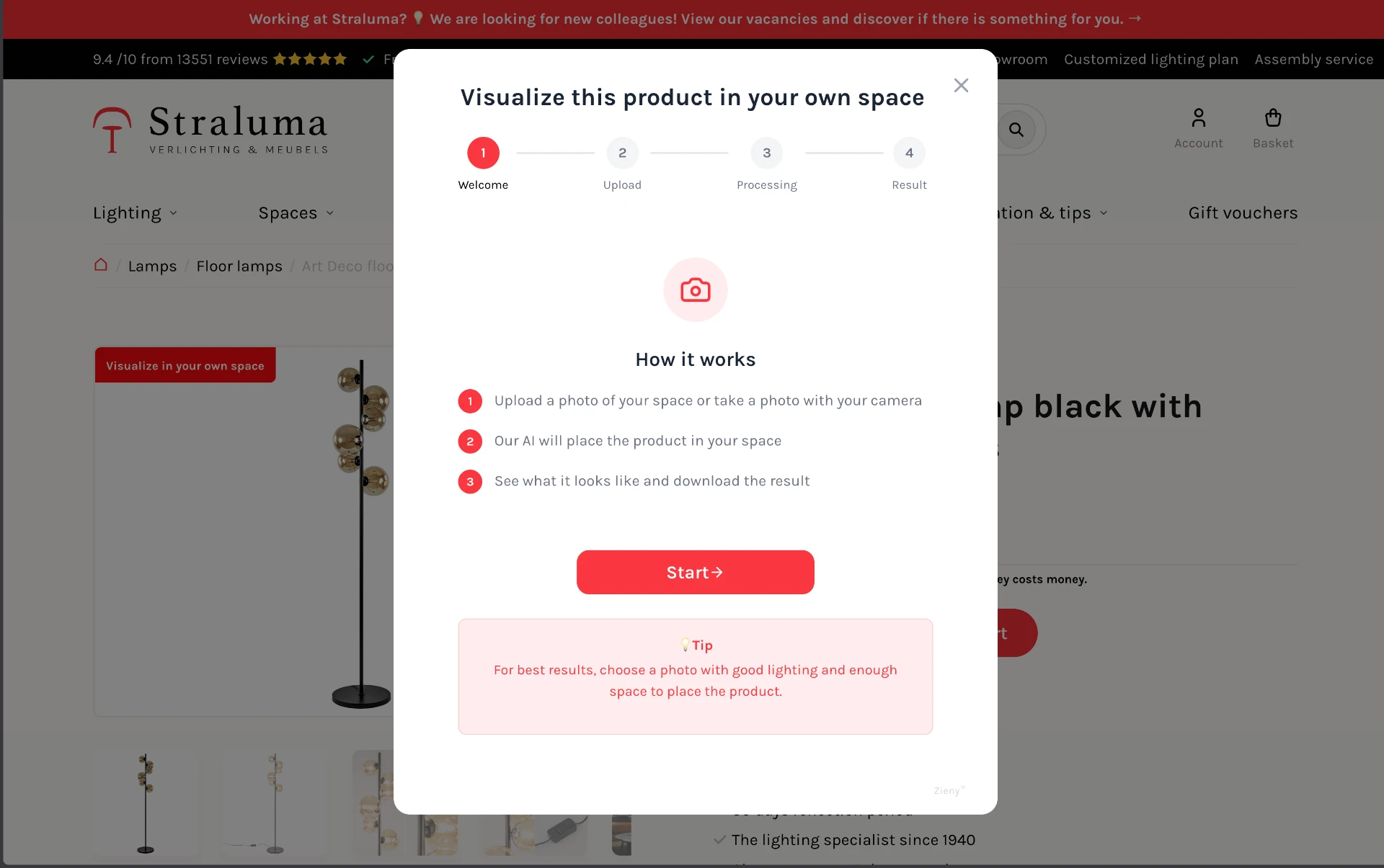 Zieny AI welcome step explaining how the visualiser works
